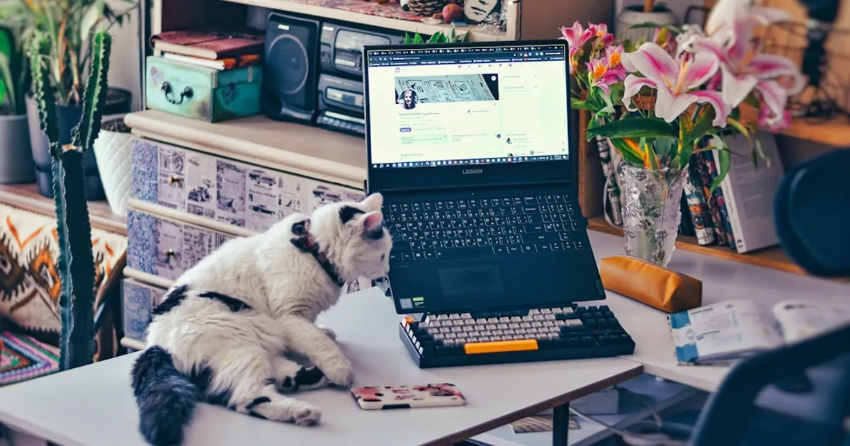 a cat sitting on a table next to a laptop
